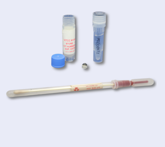 Ceppi microbici